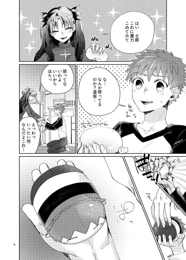 もちしろは衛宮士郎の使い魔である - page2