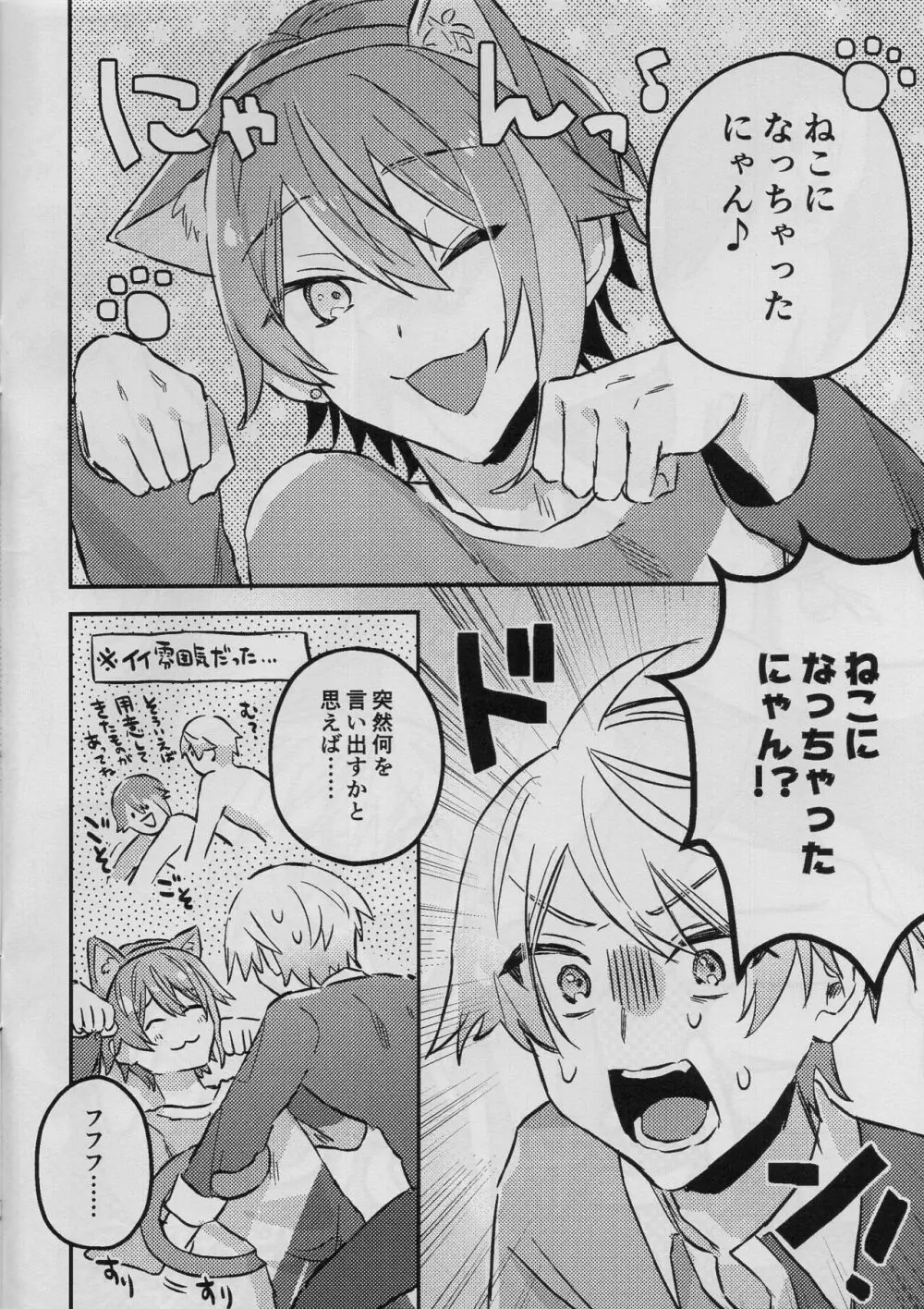司類がにゃんにゃんする本 - page2