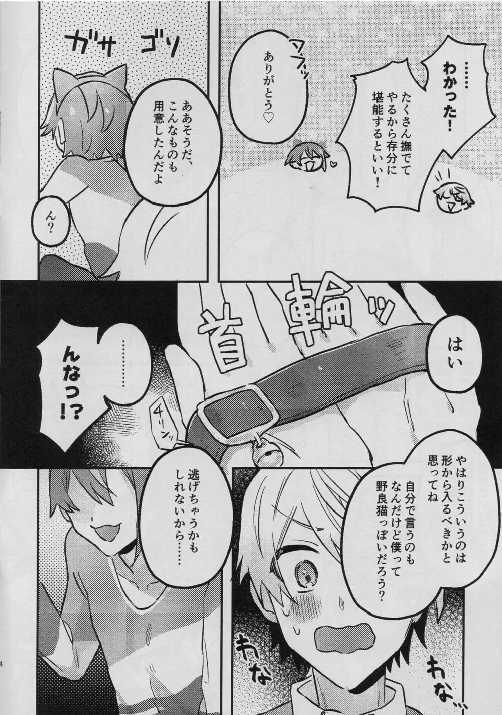 司類がにゃんにゃんする本 - page4