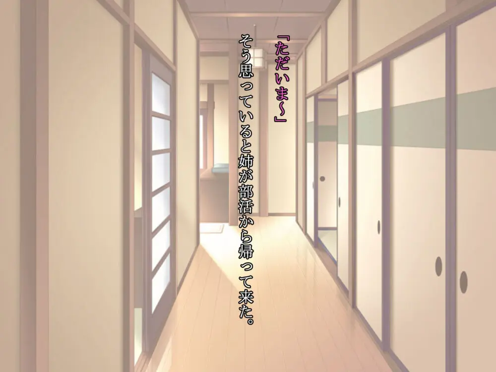 久しぶりに姉ちゃんと風呂に入ったら、体がすごかった… - page6