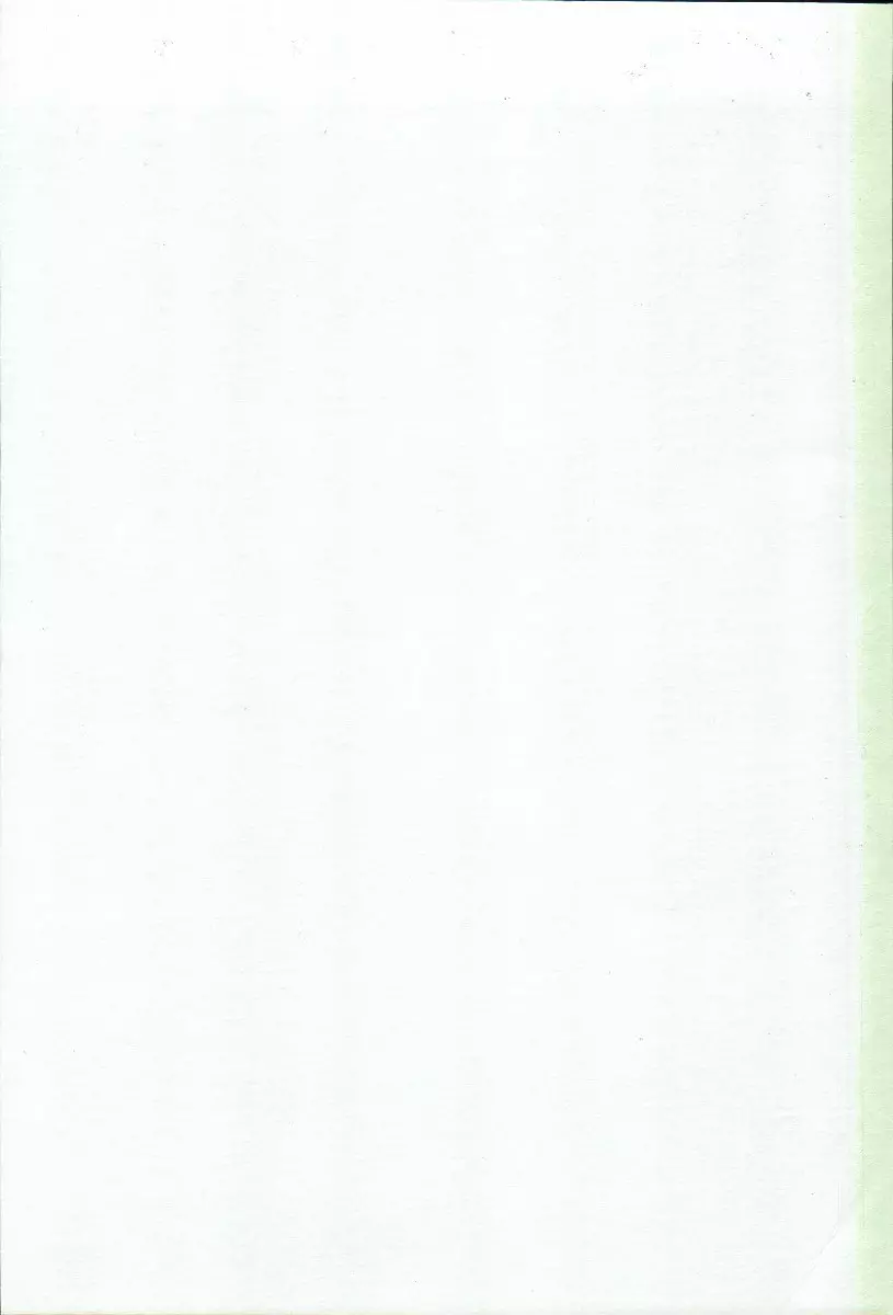 エリシスが出てる本完全版 - page2