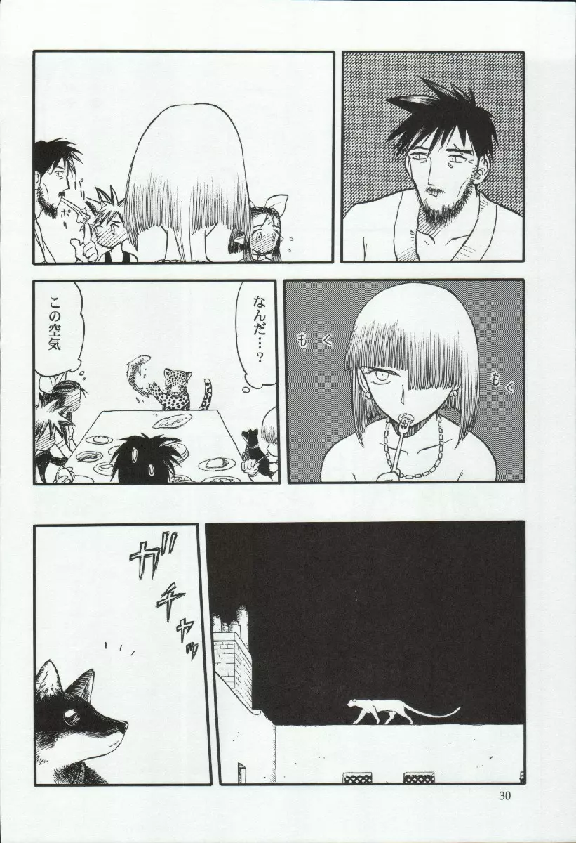 エリシスが出てる本完全版 - page30