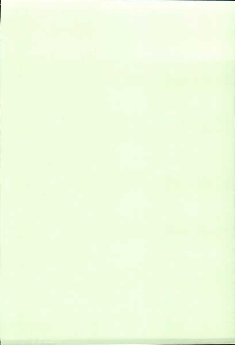 エリシスが出てる本完全版 - page99
