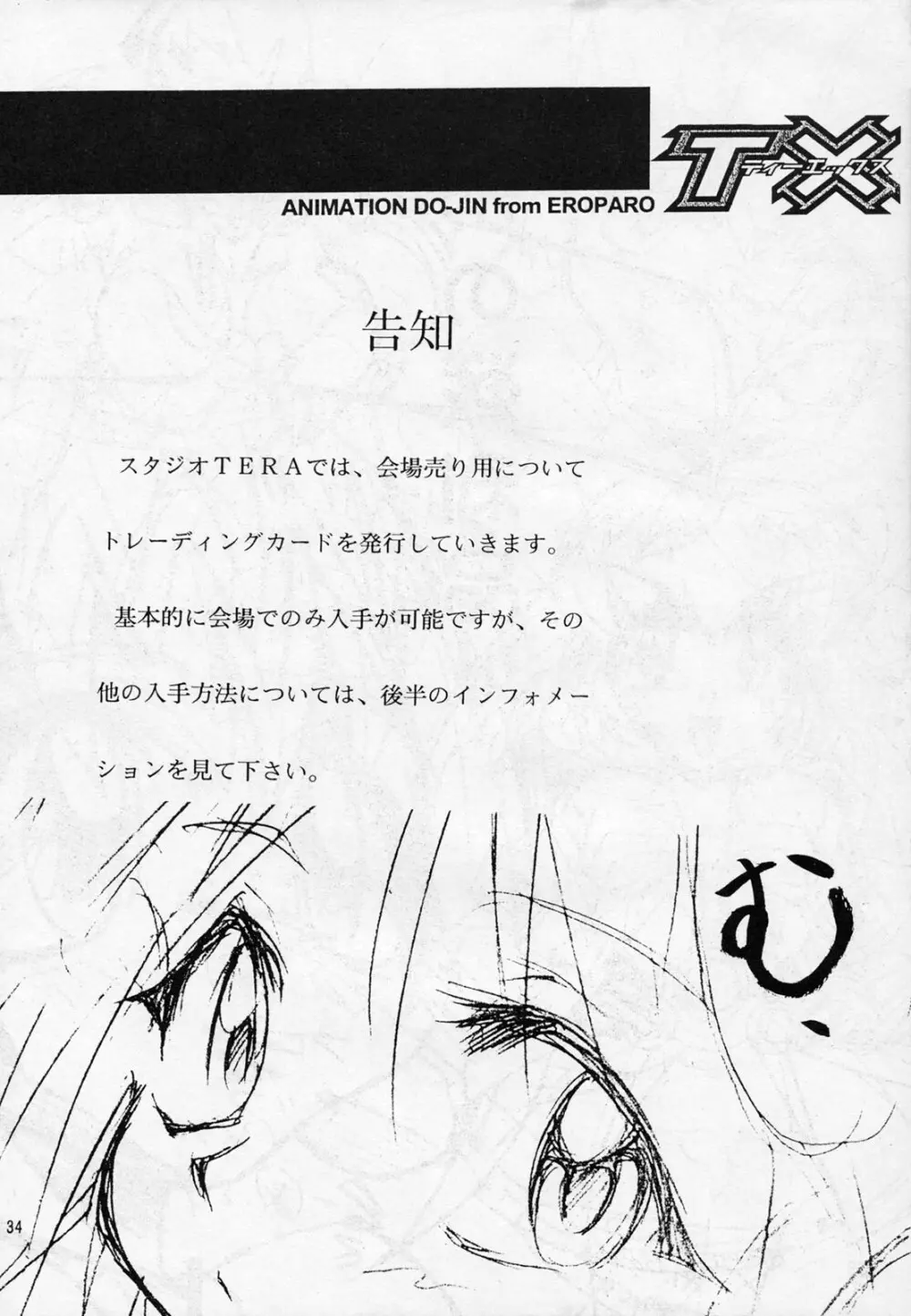 TX第1号 - page33