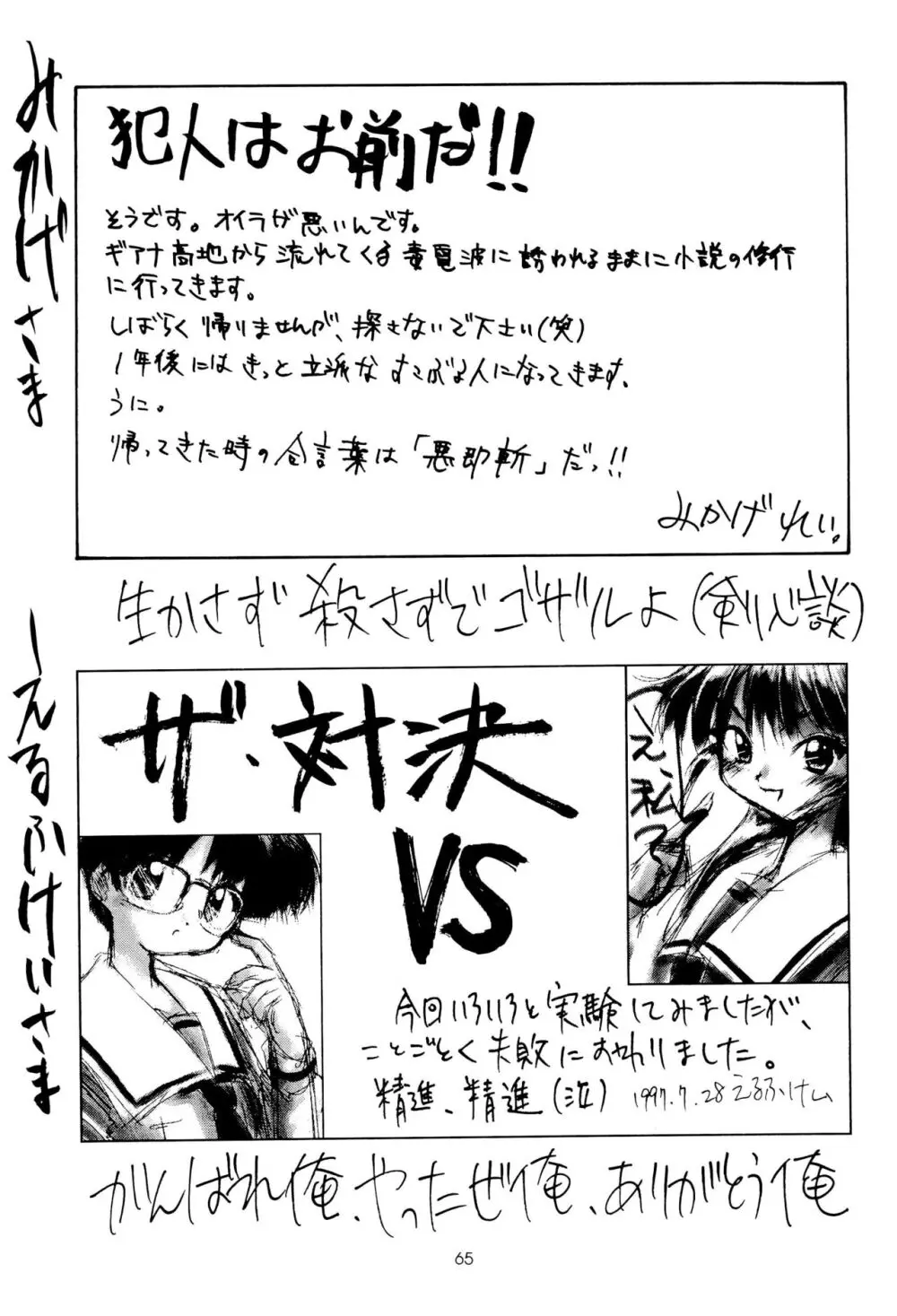 Leaflet - page65