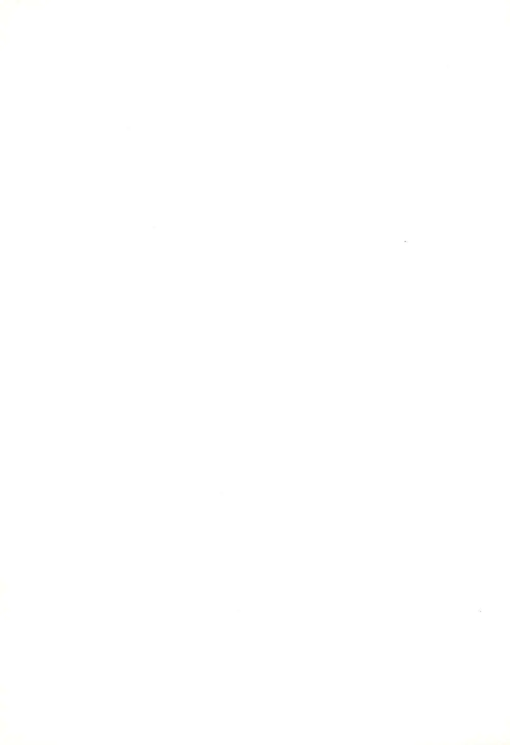Leaflet - page67