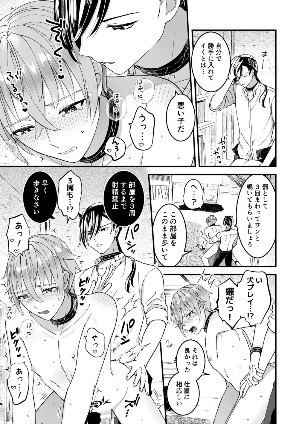 [TINGA(故珍子)] 男騎士だったけど鬼の宰相の愛玩動物(ペット)になりました(1) - page17