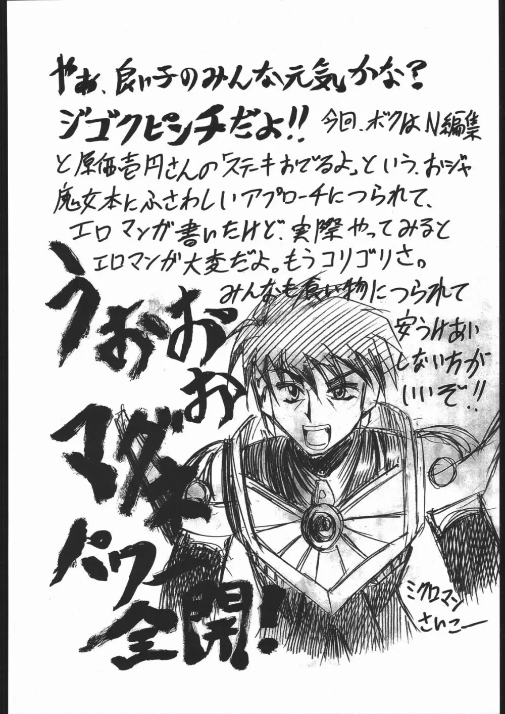 ノンオイル青じそ どれみっしんぐ - page39