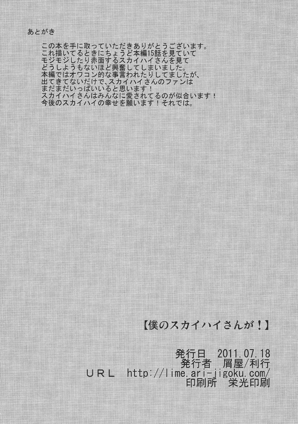 僕のスカイハイさんが! - page17