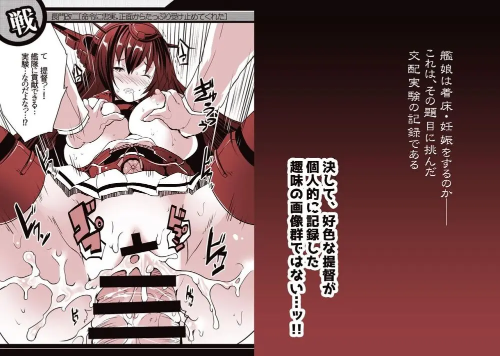 ロジウラ鎮守府の中出しこれくしょん ~艦娘交配実験記録~ - page2