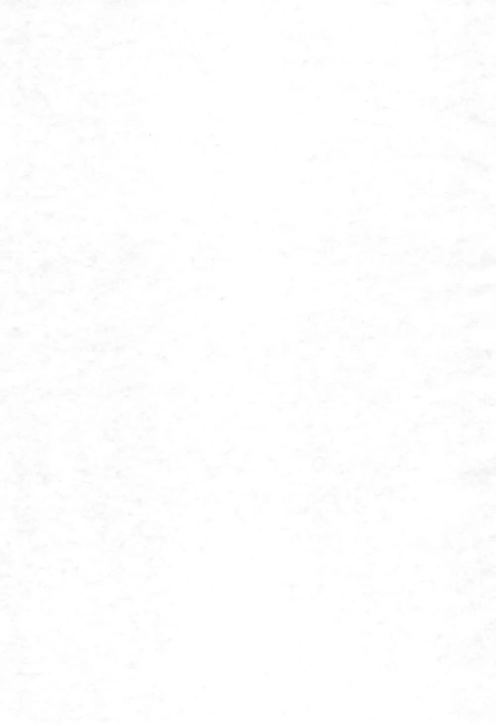 アニエロ ミックス.009 - page3
