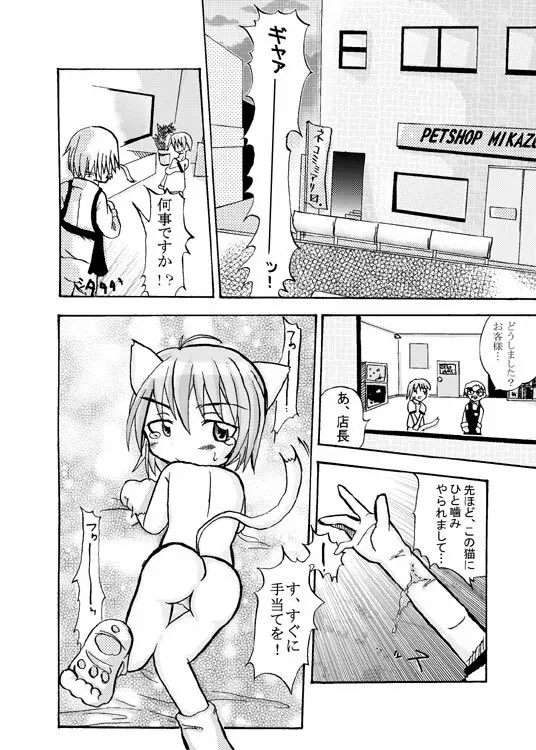 ノラネコ物語（16P) - page2