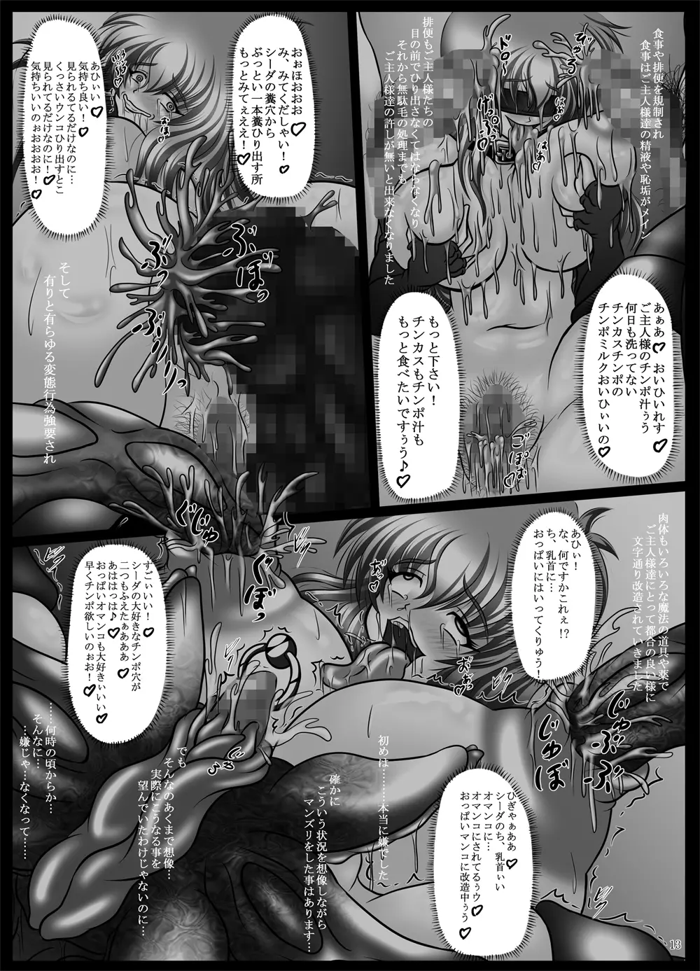 肉便姫シーダ ～淫乱痴王女のエムブレム～ - page13