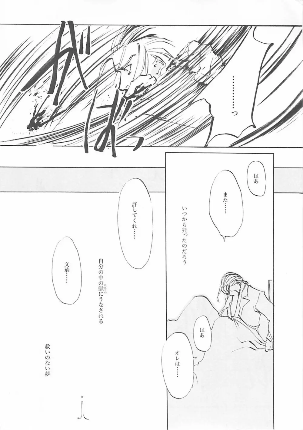 D+COLLECTION - page209