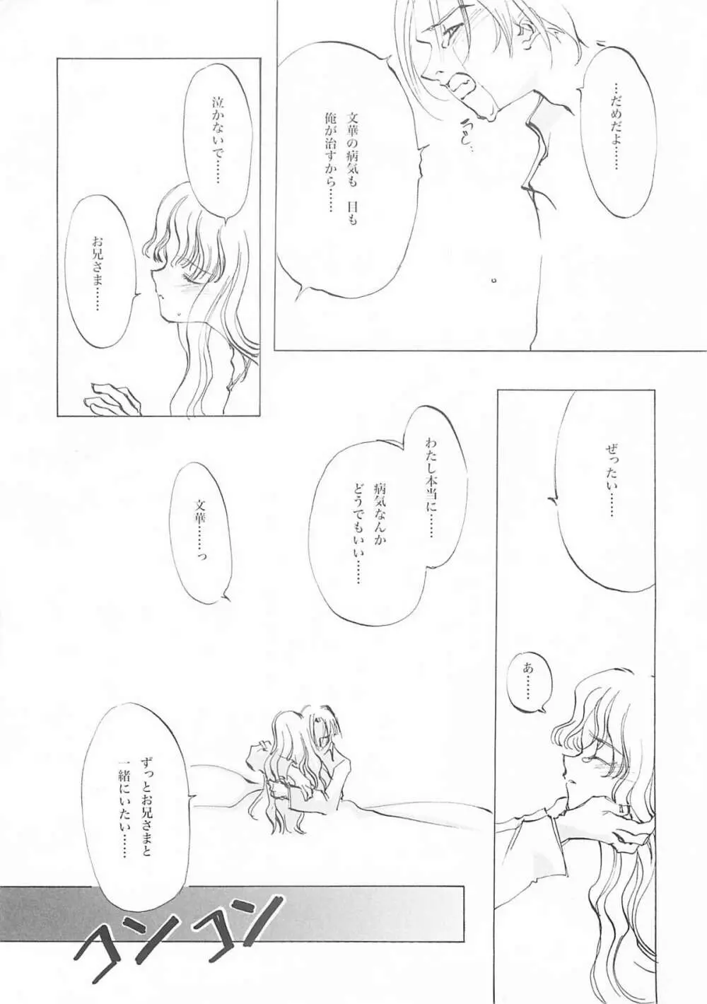 D+COLLECTION - page216