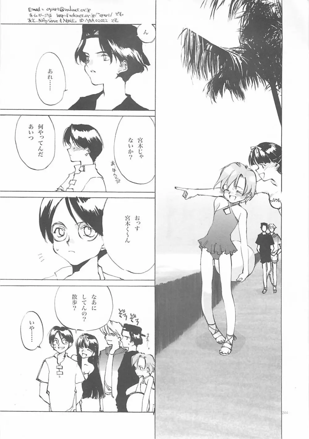D+COLLECTION - page243