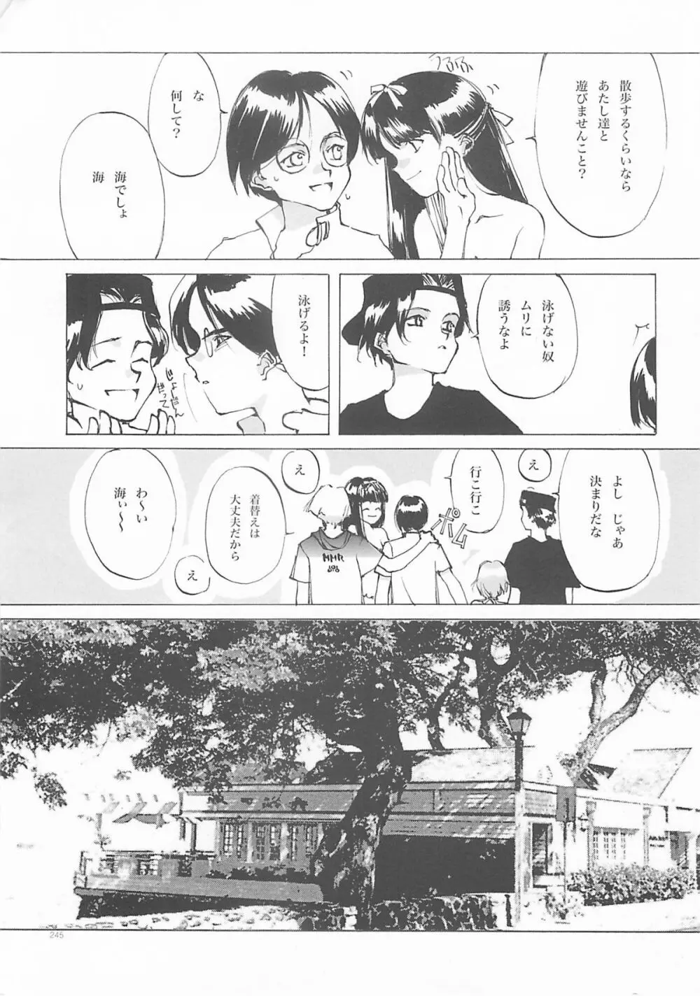 D+COLLECTION - page244
