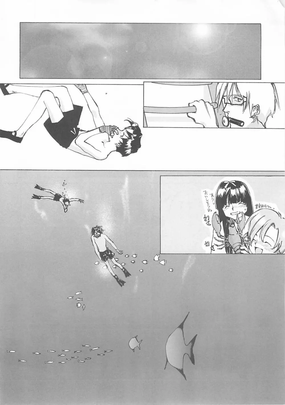 D+COLLECTION - page245