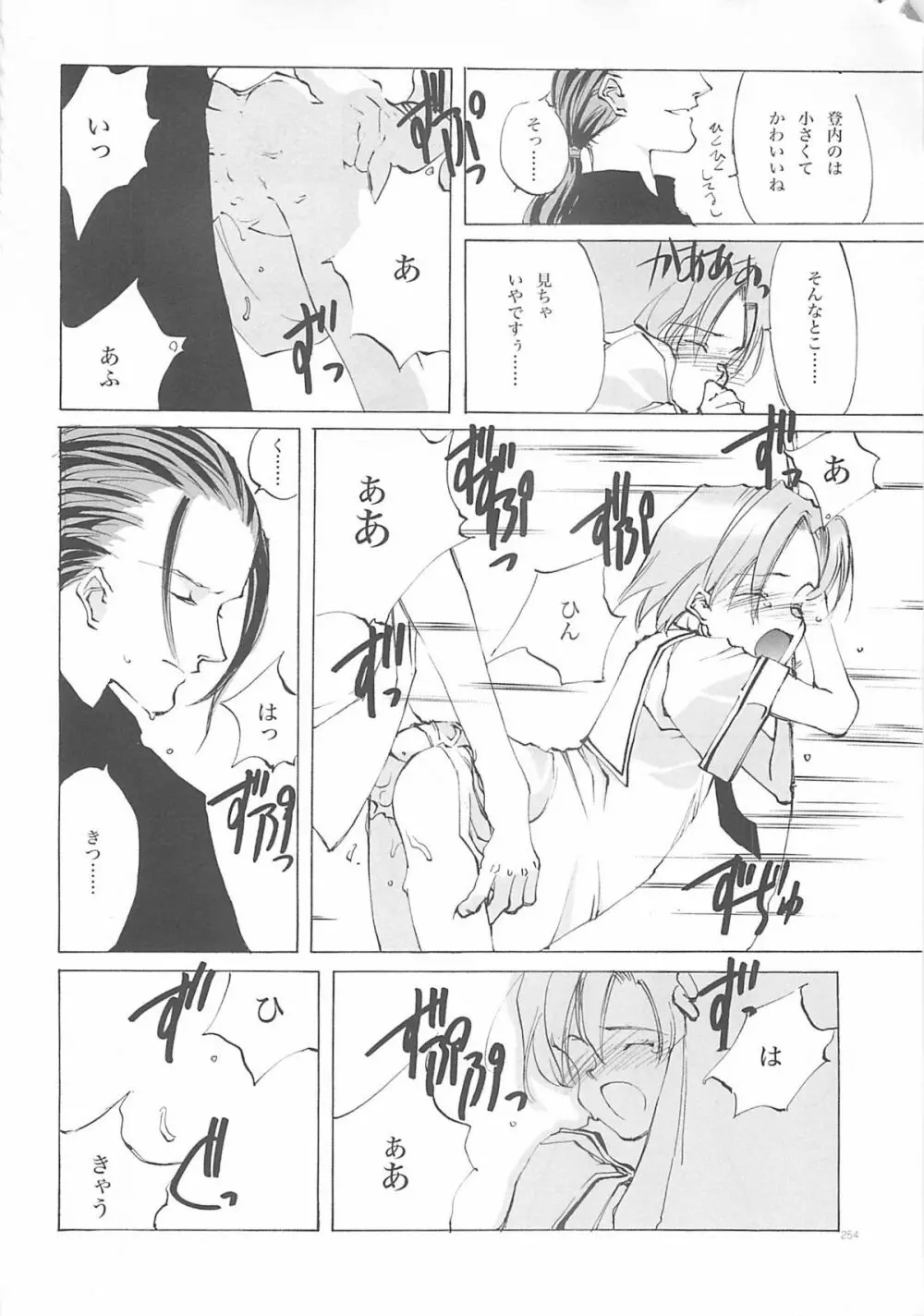 D+COLLECTION - page253