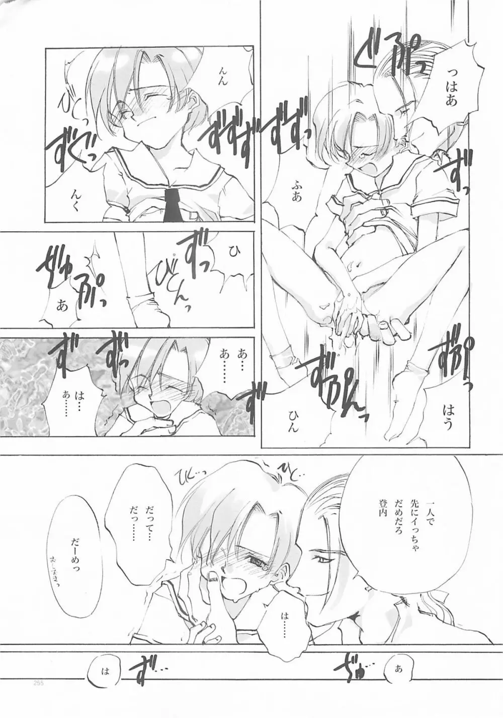 D+COLLECTION - page254