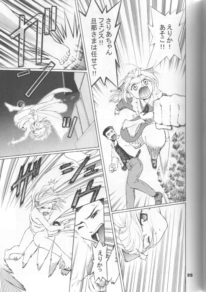 ねこメイドファイル - page24