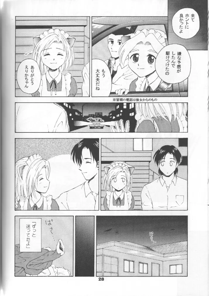 ねこメイドファイル - page27