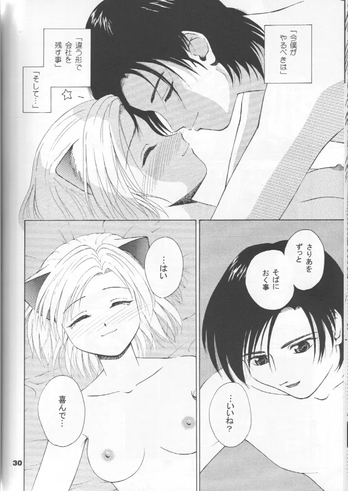 ねこメイドファイル - page29