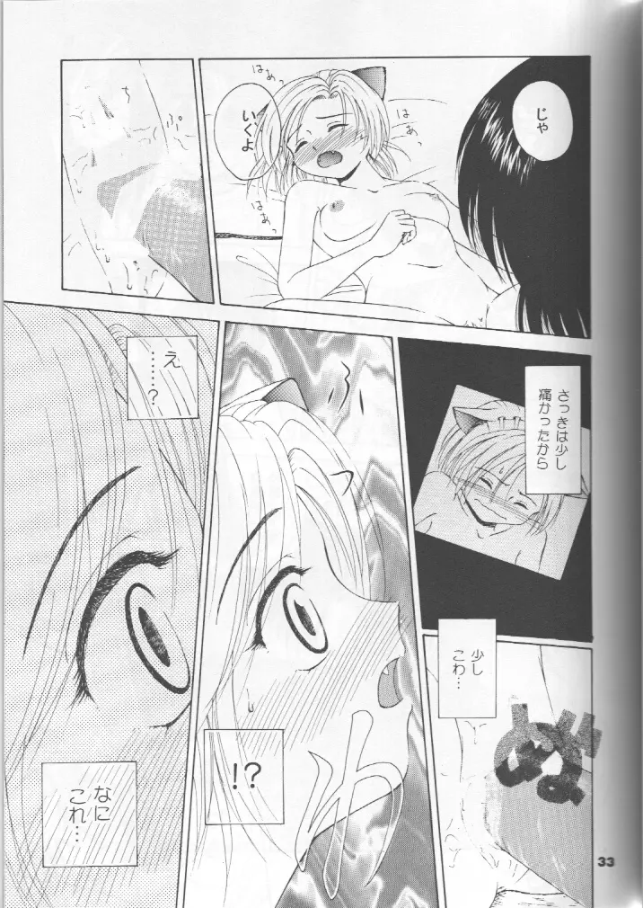 ねこメイドファイル - page32
