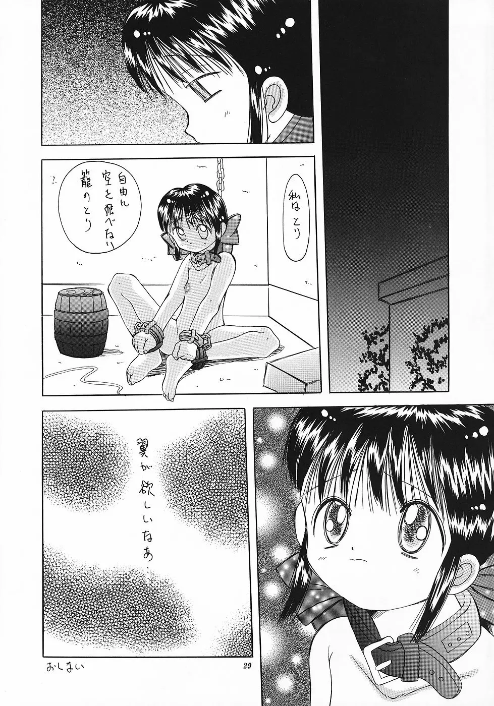 色彩艶妓3 しろいとり - page28