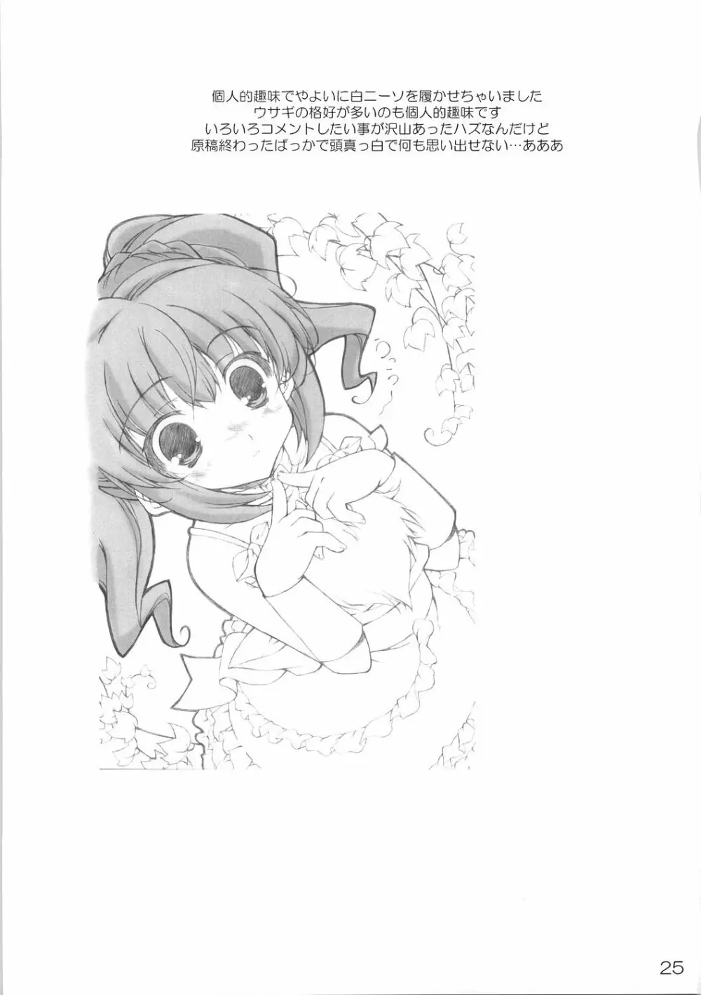 迷い子のうさぎ - page24
