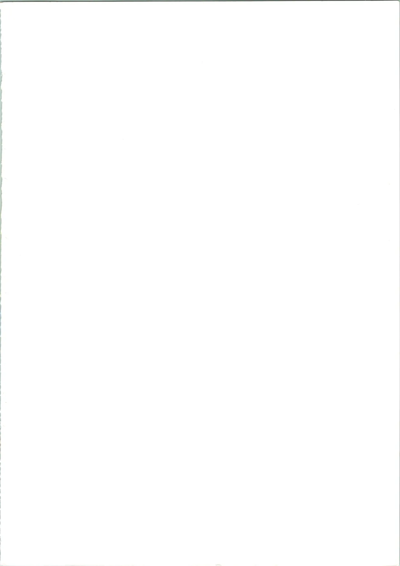 GOTTUI IV - page3