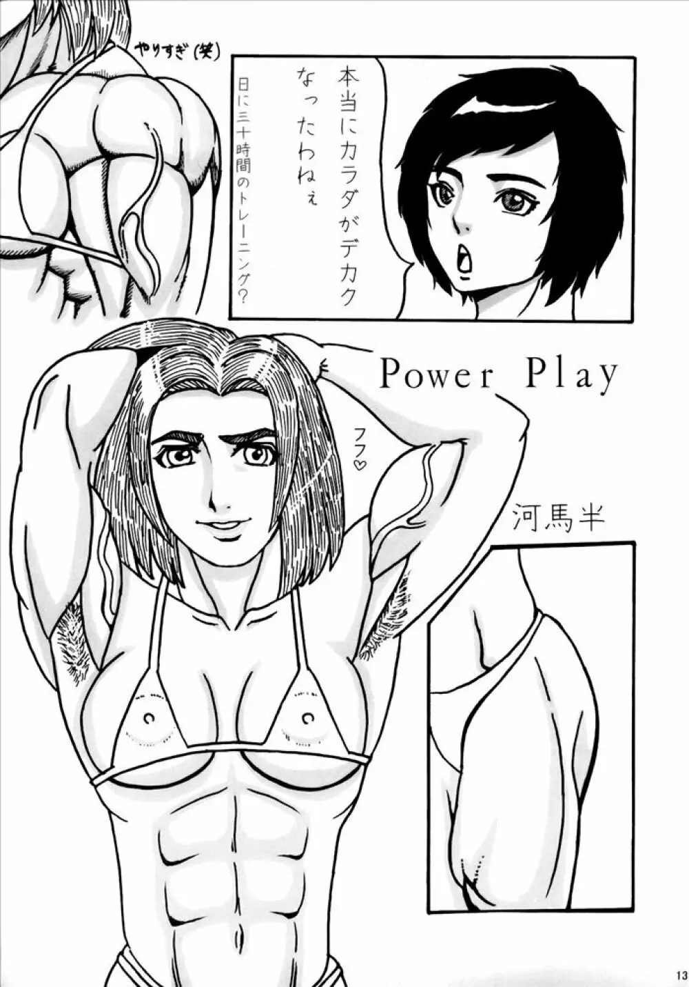 Wild Rose Hip - page12