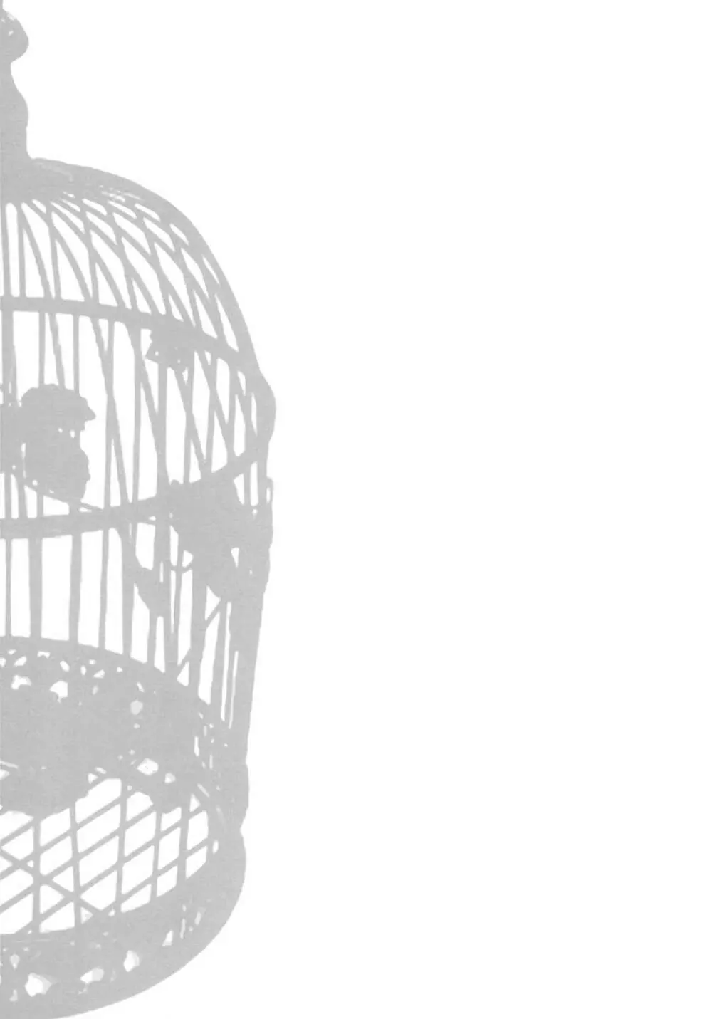 IDOLTIME SPECIAL BOOK YUKIHO HAGIWARA in the Bird Cage - page28