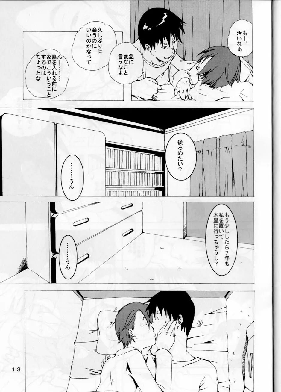 経過報告 - page13