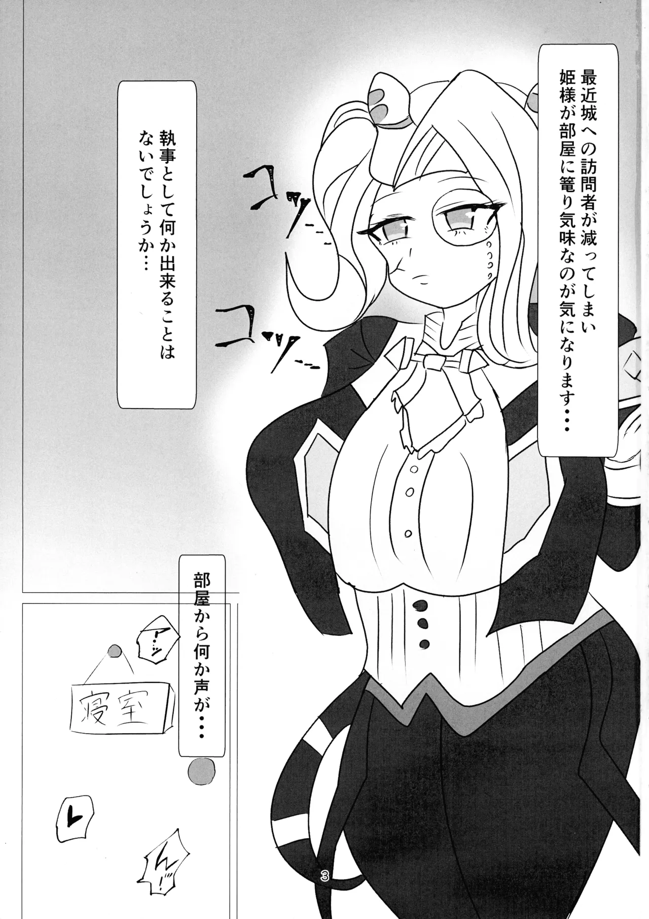 姫と執事の秘め事 - page3