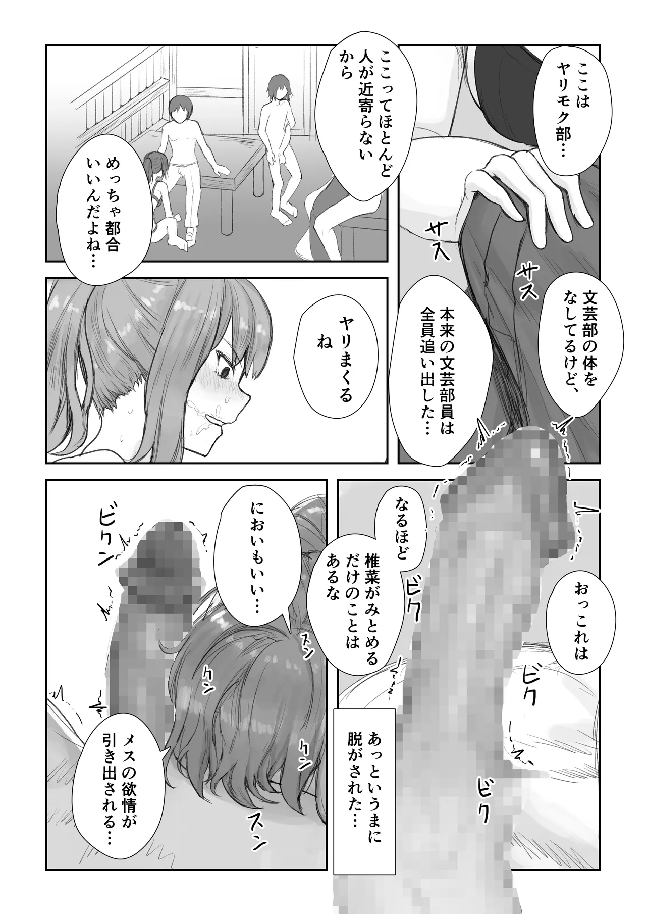 放課後ヤリモク部〜ひとめぼれの清楚ビッチと乱交三昧〜 - page12
