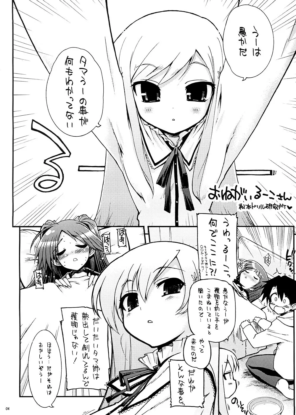もうおっぱいと言えばタマ姉なんだよ！ - page3
