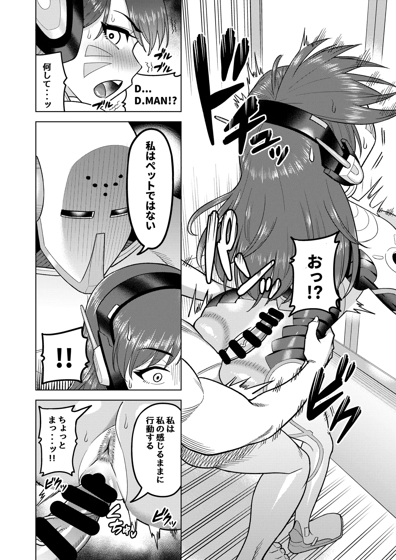 DVA本 THE PET - page10