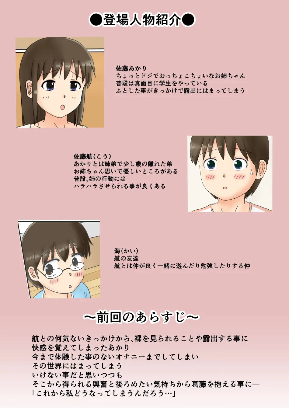 お姉ちゃんの露出体験記2 - page6