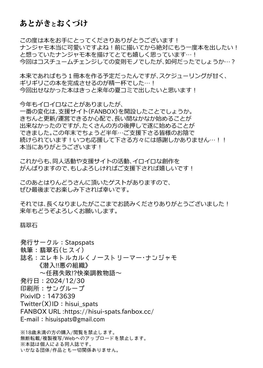 エレキトリカル☆くノ一ストリーマー_ナンジャモ - page20