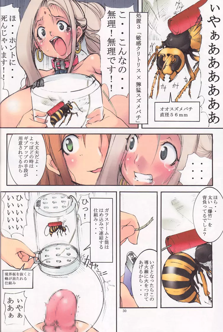 聖マルガレタ学園 ブラックファイル 1 - page29