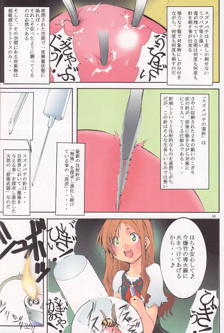 聖マルガレタ学園 ブラックファイル 1 - page33