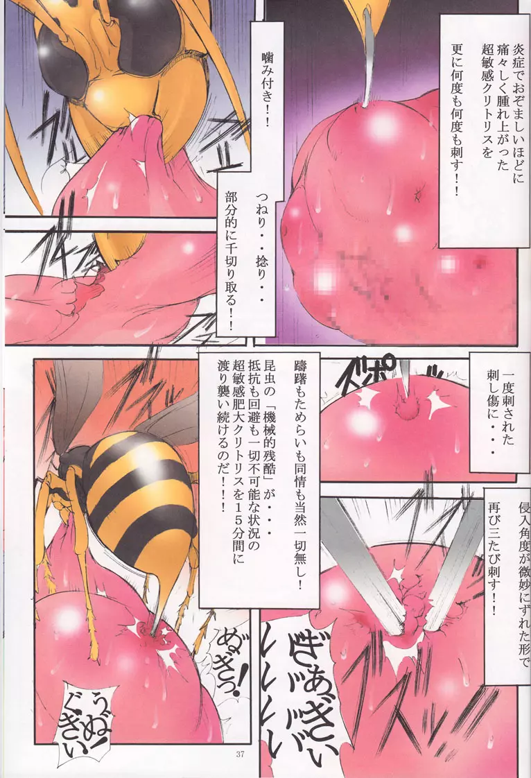 聖マルガレタ学園 ブラックファイル 1 - page36