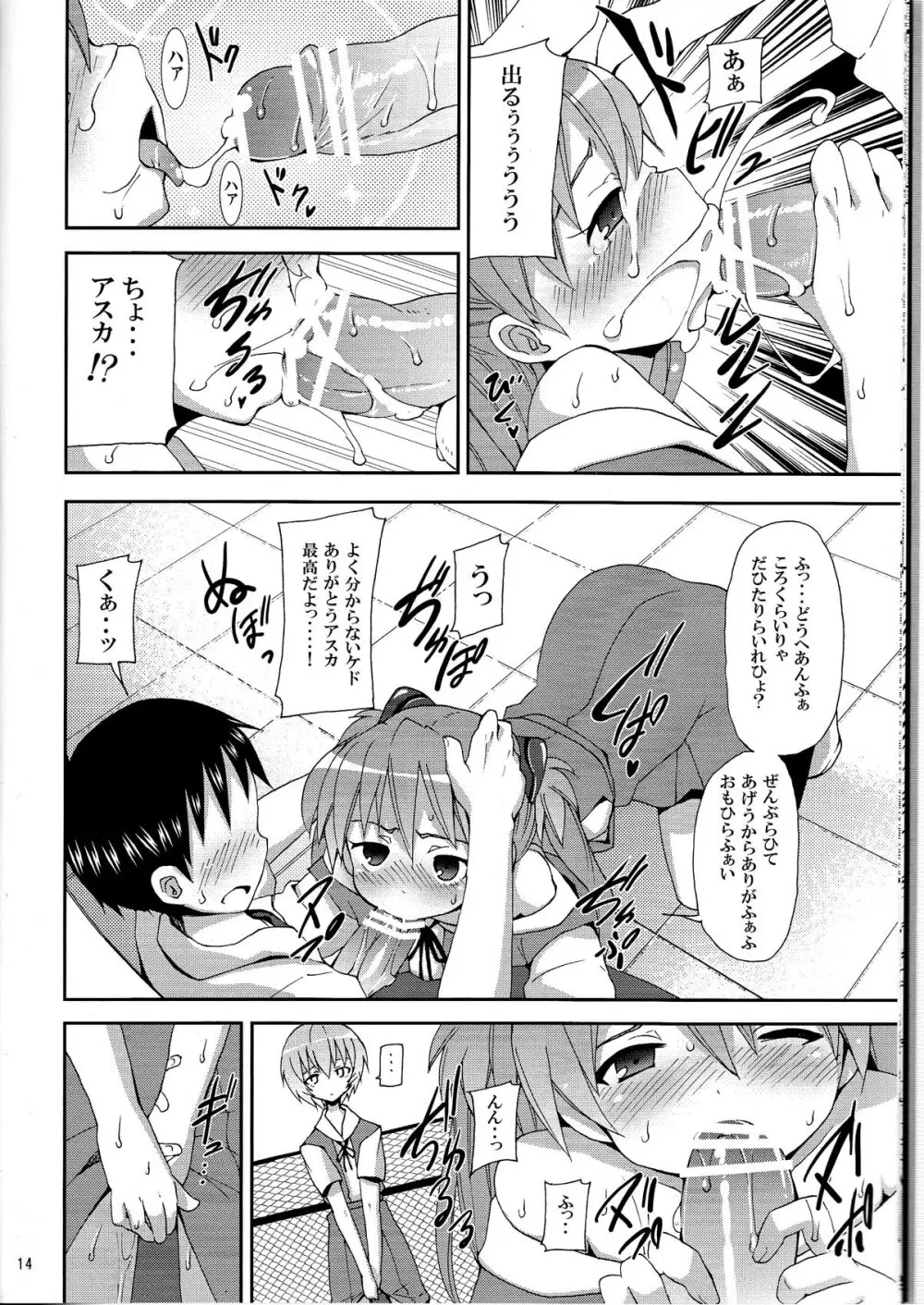 (C76) [のうないカノジョ (キシリトヲル)] I Can (Not) Choose (ヱヴァンゲリヲン新劇場版) - page14