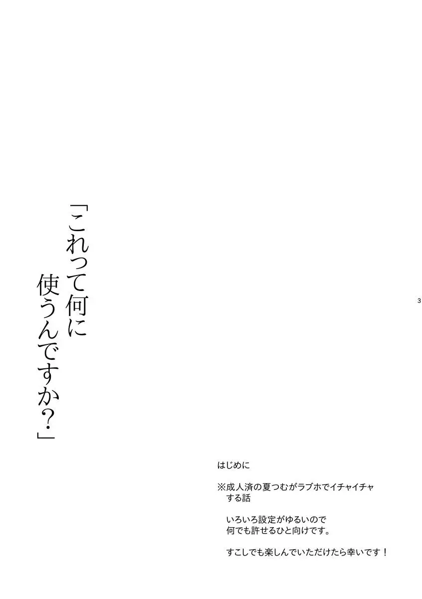 これって何に使うんですか？ - page2