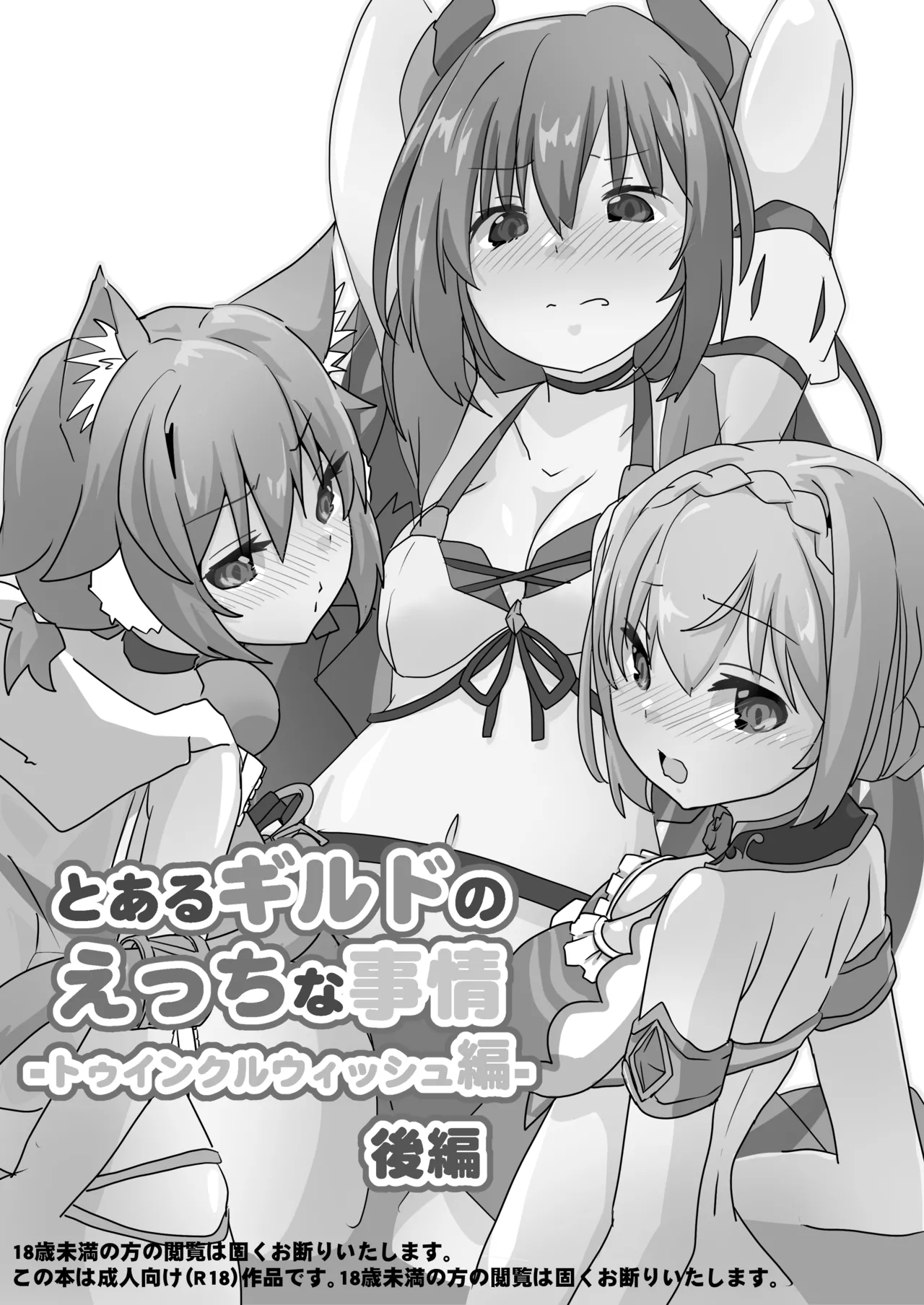 [Sinful Palette (双月なる)] とあるギルドのえっちな事情-トゥインクルウィッシュ編-後編 (プリンセスコネクト!Re:Dive) [DL版] - page2