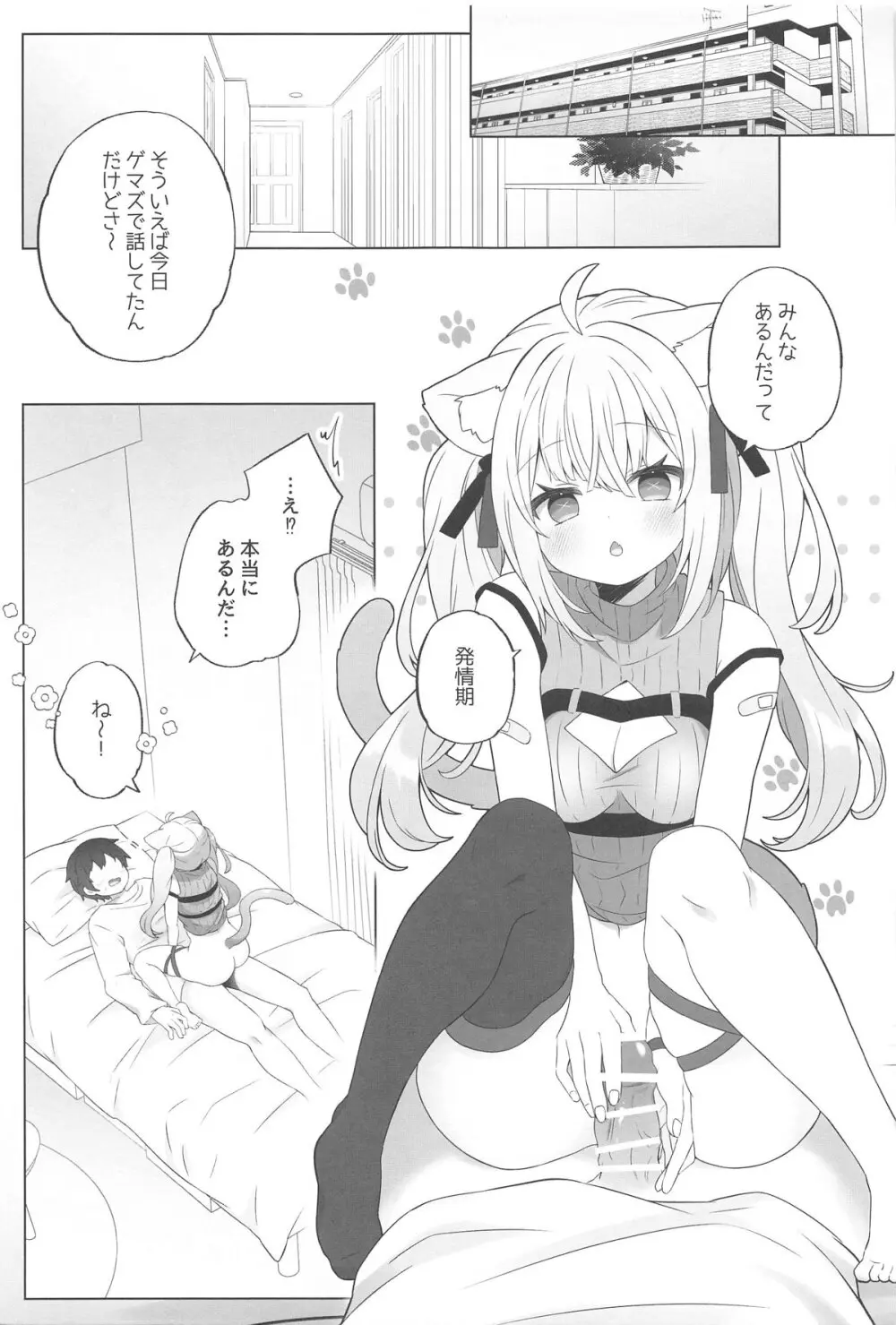 ねこ用 発情期誘発剤 - page2