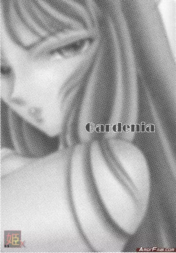 Gardenia - page2