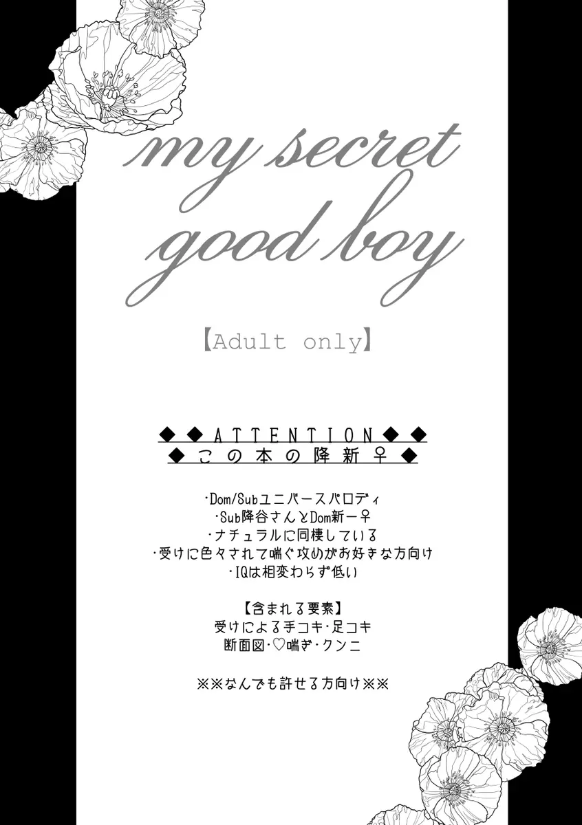my secret good boy(Detective Conan) - page2