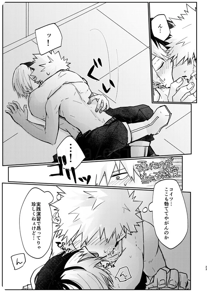 透明バイパス - page21